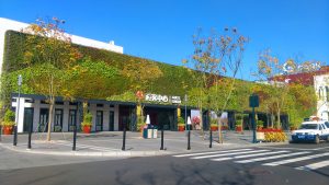 立體綠化-上海迪士尼-02