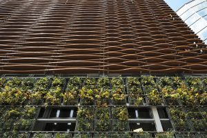 越秀木DT-港区立麻布图书馆 (1)