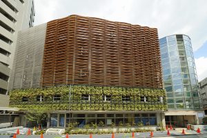 越秀木DT-港区立麻布图书馆 (3)