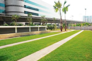 植草墊-International Business Park, Singapore (3)